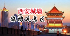 午夜操屄中国陕西-西安城墙旅游风景区