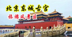 美女被大鸡猛操网站中国北京-东城古宫旅游风景区